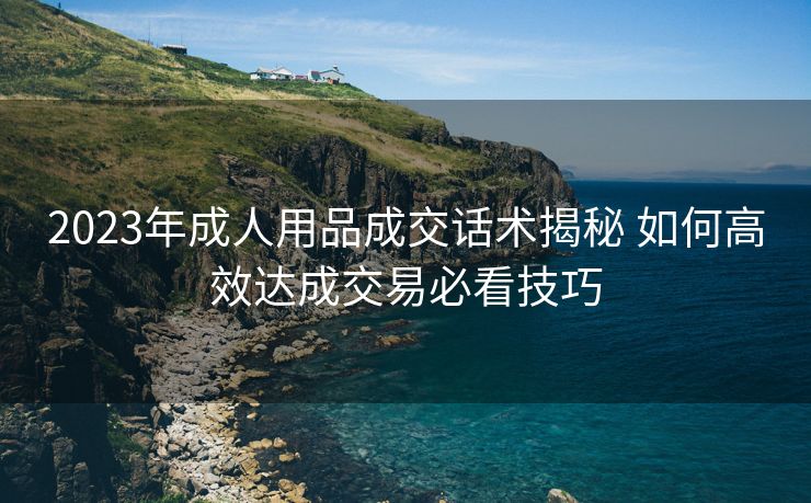 2023年成人用品成交话术揭秘 如何高效达成交易必看技巧