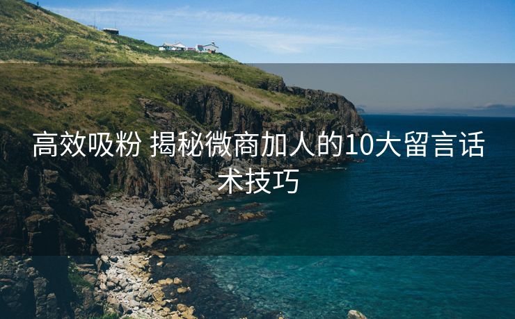 高效吸粉 揭秘微商加人的10大留言话术技巧