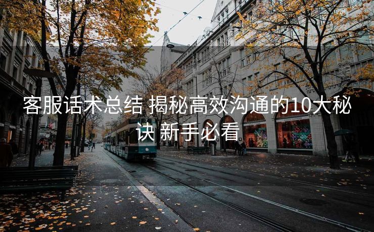 客服话术总结 揭秘高效沟通的10大秘诀 新手必看