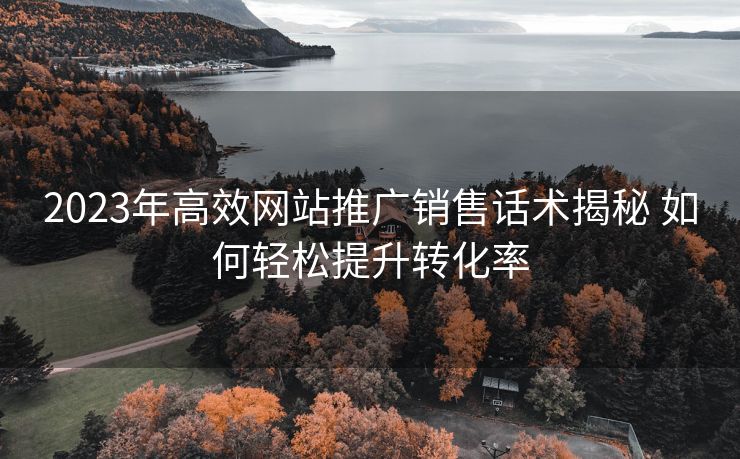 2023年高效网站推广销售话术揭秘 如何轻松提升转化率