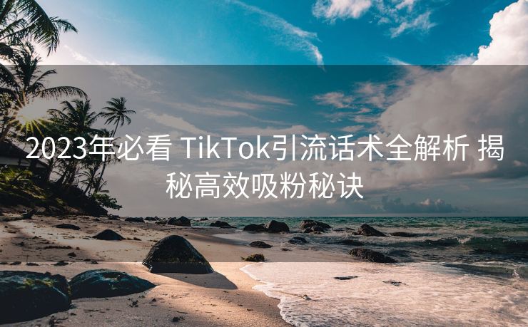 2023年必看 TikTok引流话术全解析 揭秘高效吸粉秘诀 2023年必看 TikTok引流话术全解析 揭秘高效吸粉秘诀