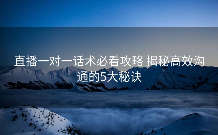 直播一对一话术必看攻略 揭秘高效沟通的5大秘诀