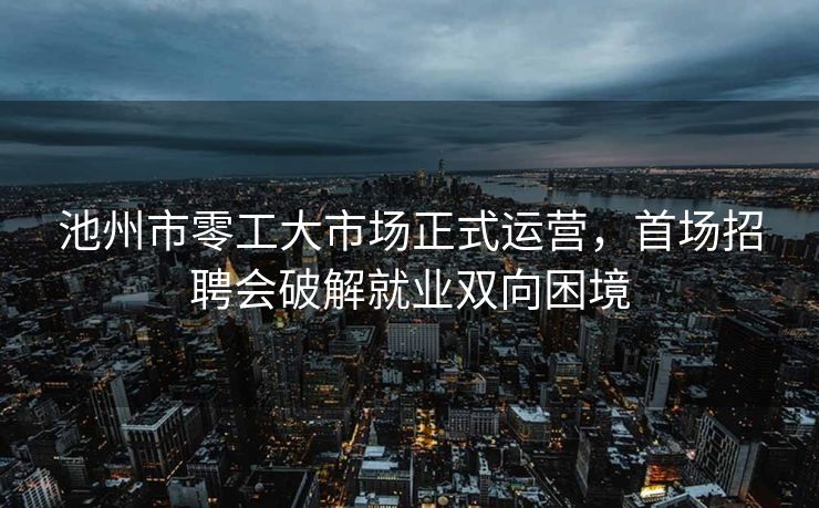 池州市零工大市场正式运营，首场招聘会破解就业双向困境