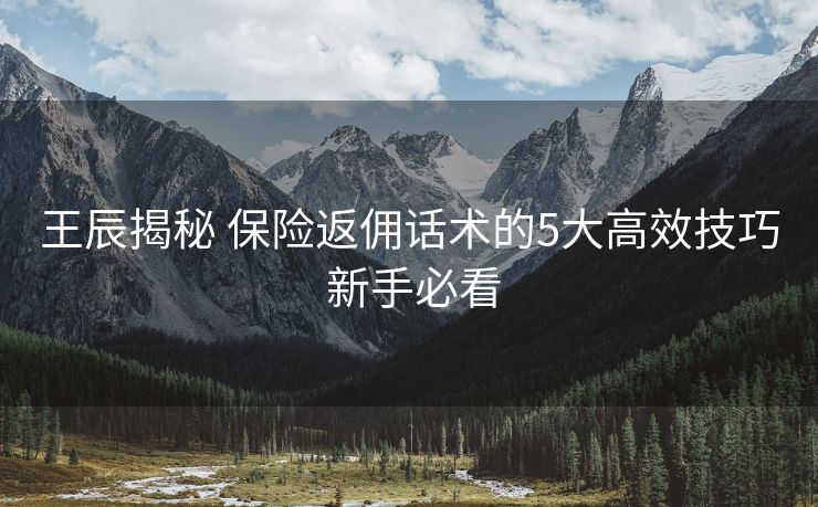 王辰揭秘 保险返佣话术的5大高效技巧 新手必看 王辰揭秘 保险返佣话术的5大高效技巧 新手必看