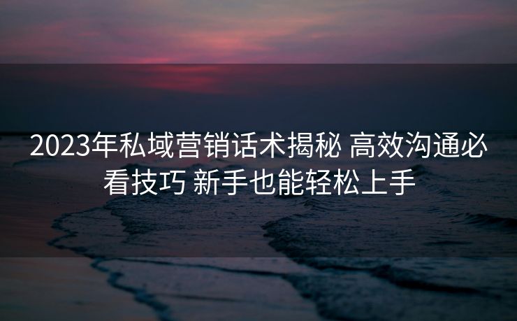 2023年私域营销话术揭秘 高效沟通必看技巧 新手也能轻松上手 2023年私域营销话术揭秘 高效沟通必看技巧 新手也能轻松上手