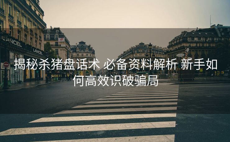 揭秘杀猪盘话术 必备资料解析 新手如何高效识破骗局 揭秘杀猪盘话术 必备资料解析 新手如何高效识破骗局