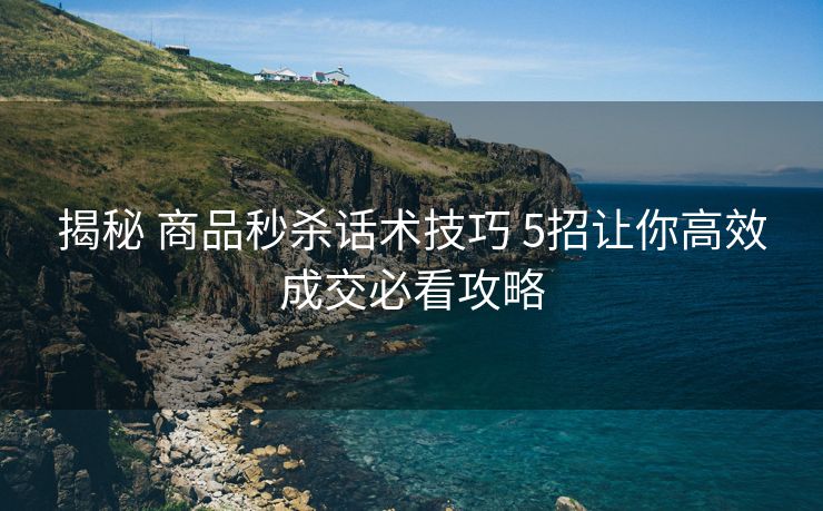 揭秘 商品秒杀话术技巧 5招让你高效成交必看攻略 揭秘 商品秒杀话术技巧 5招让你高效成交必看攻略