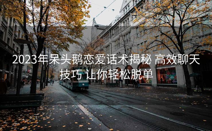 2023年呆头鹅恋爱话术揭秘 高效聊天技巧 让你轻松脱单
