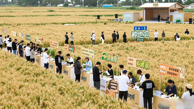 Z世代青年求职体验_杭州种地星球招聘会_招聘会