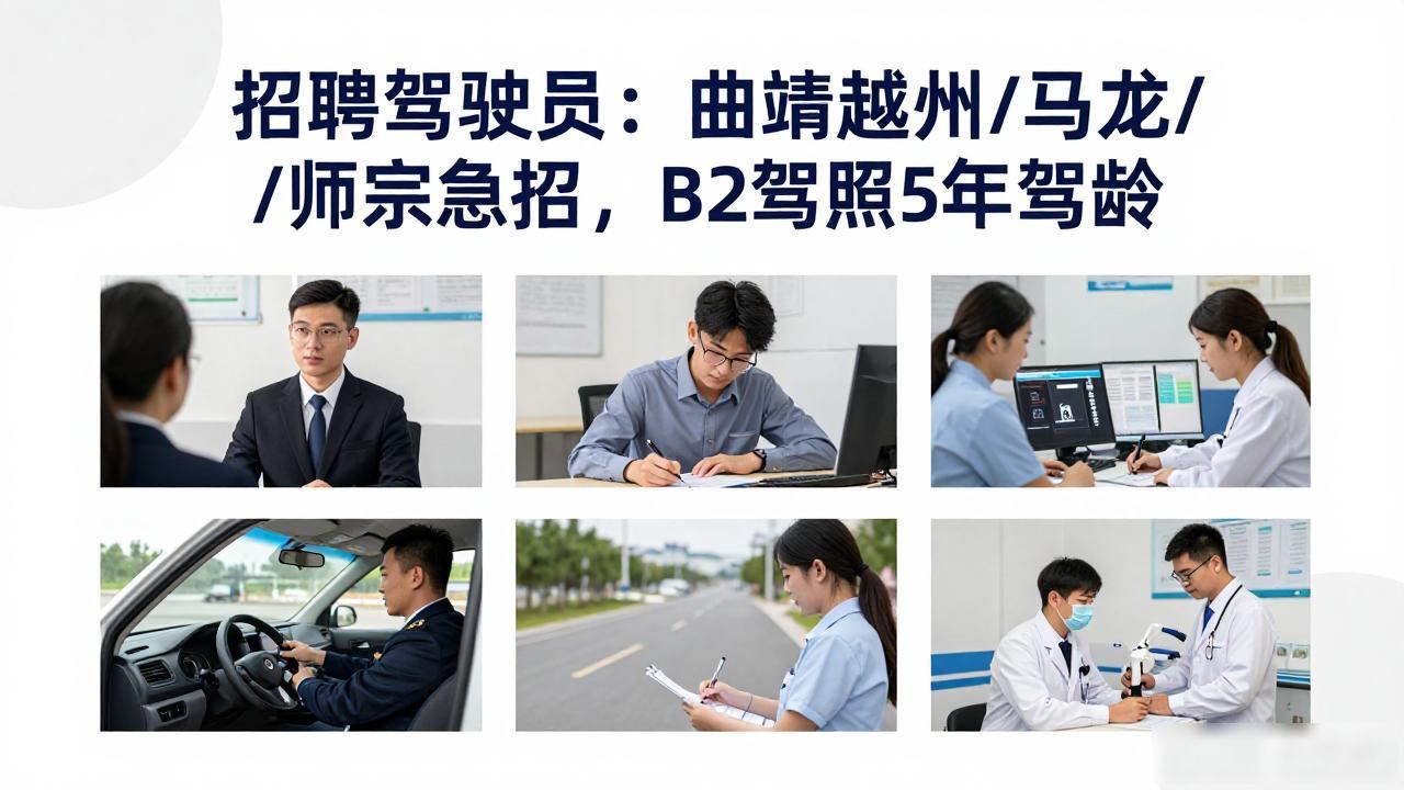 驾驶员招聘 中智云南经济技术合作有限公司 曲靖地区_招聘信息
