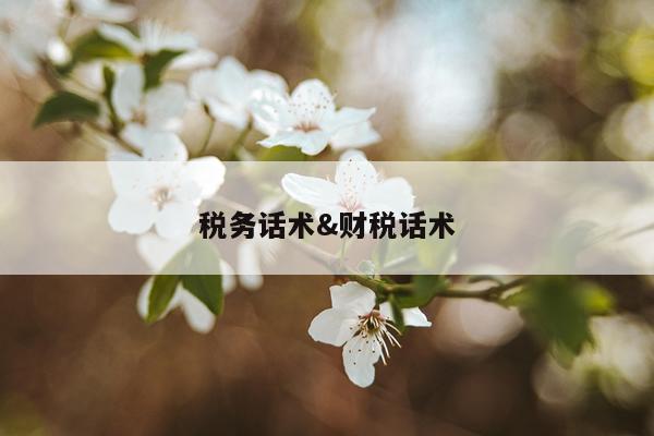 税务话术&财税话术