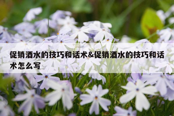 促销酒水的技巧和话术&促销酒水的技巧和话术怎么写