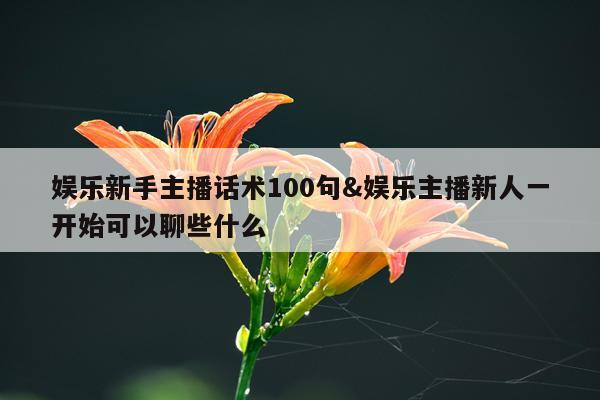 娱乐新手主播话术100句&娱乐主播新人一开始可以聊些什么