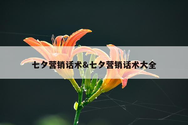 七夕营销话术&七夕营销话术大全