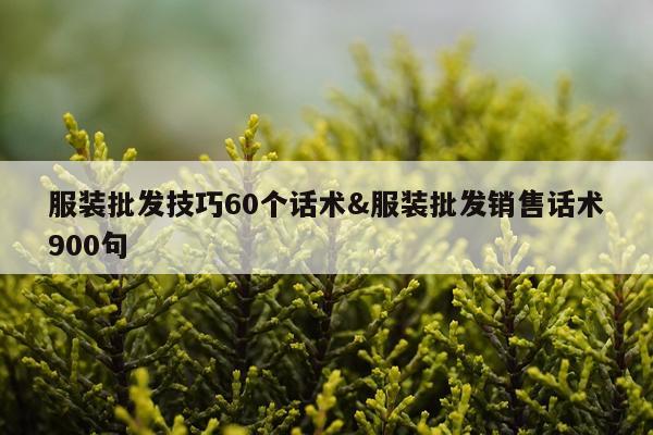 服装批发技巧60个话术&服装批发销售话术900句