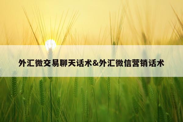 外汇微交易聊天话术&外汇微信营销话术