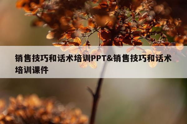 销售技巧和话术培训PPT&销售技巧和话术培训课件