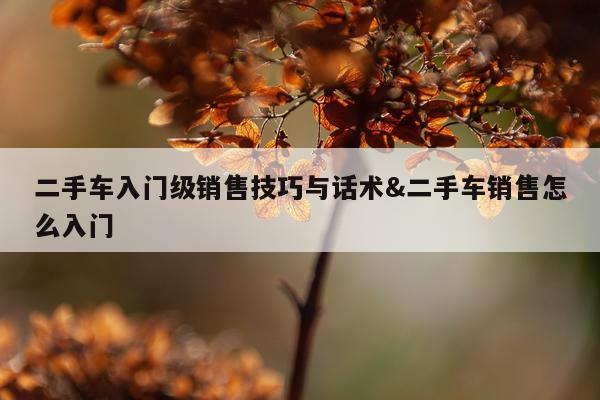 二手车入门级销售技巧与话术&二手车销售怎么入门