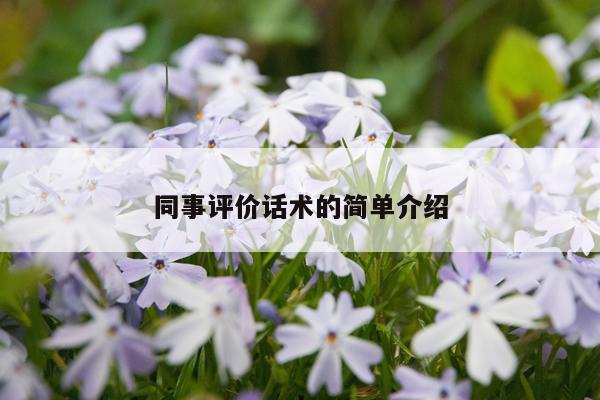 同事评价话术的简单介绍