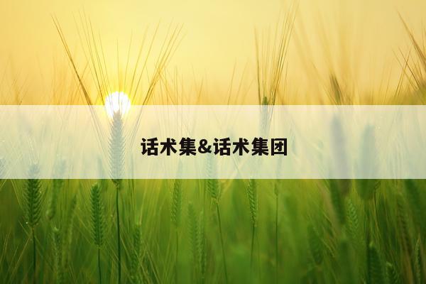 话术集&话术集团