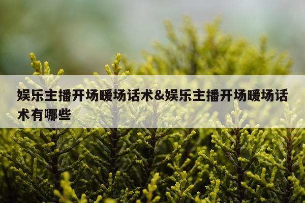 娱乐主播开场暖场话术&娱乐主播开场暖场话术有哪些