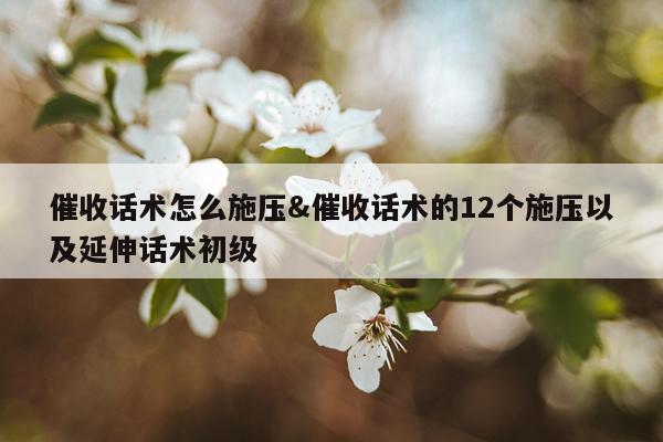 催收话术怎么施压&催收话术的12个施压以及延伸话术初级