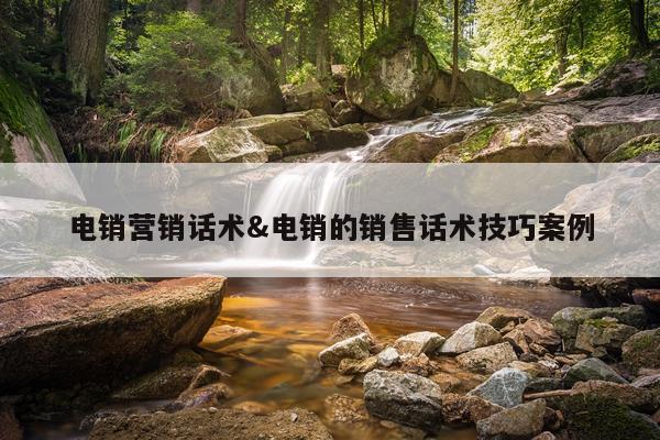 电销营销话术&电销的销售话术技巧案例