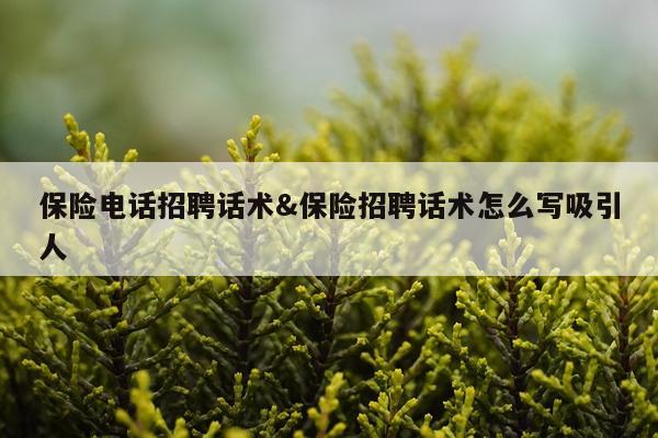 保险电话招聘话术&保险招聘话术怎么写吸引人