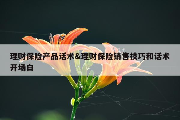 理财保险产品话术&理财保险销售技巧和话术开场白