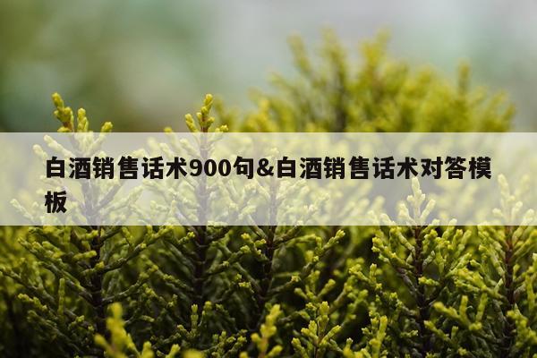 白酒销售话术900句&白酒销售话术对答模板