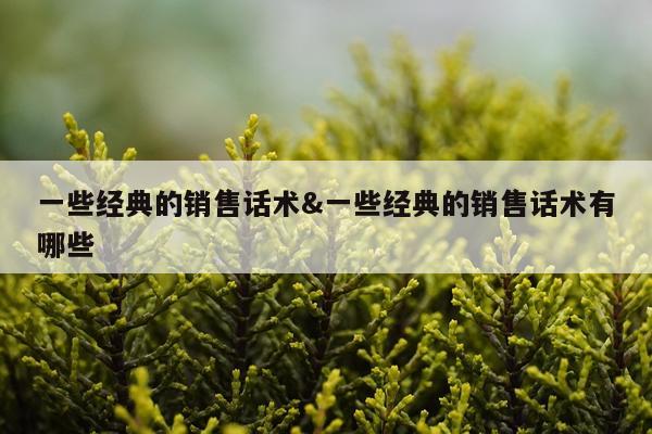 一些经典的销售话术&一些经典的销售话术有哪些