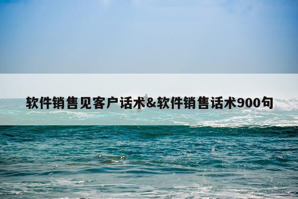 软件销售见客户话术&软件销售话术900句