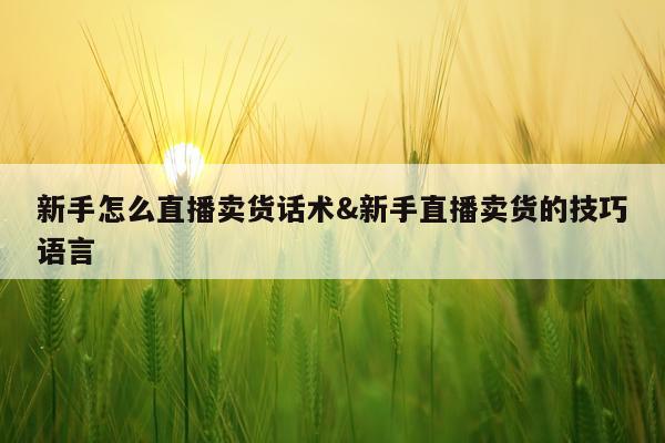 新手怎么直播卖货话术&新手直播卖货的技巧语言
