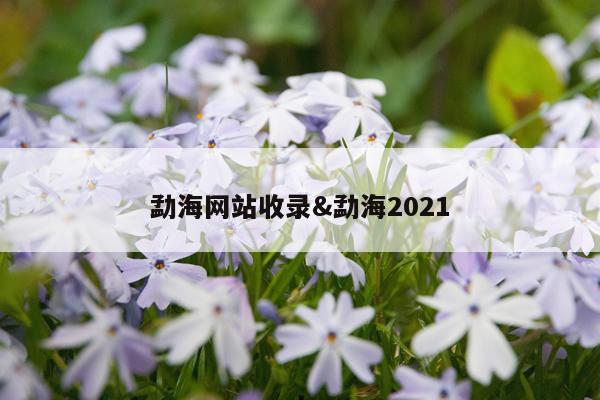 勐海网站收录&勐海2021