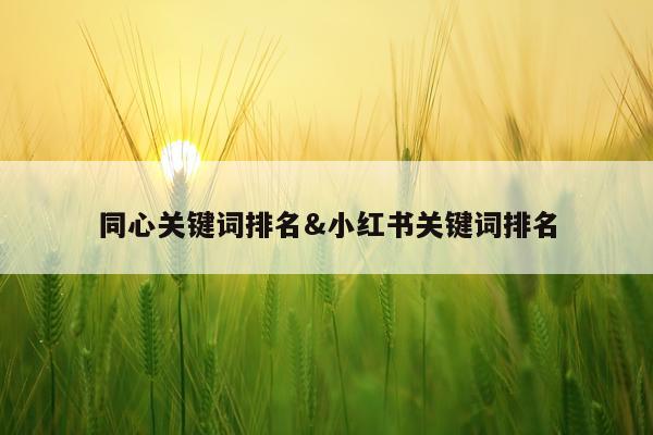 同心关键词排名&小红书关键词排名