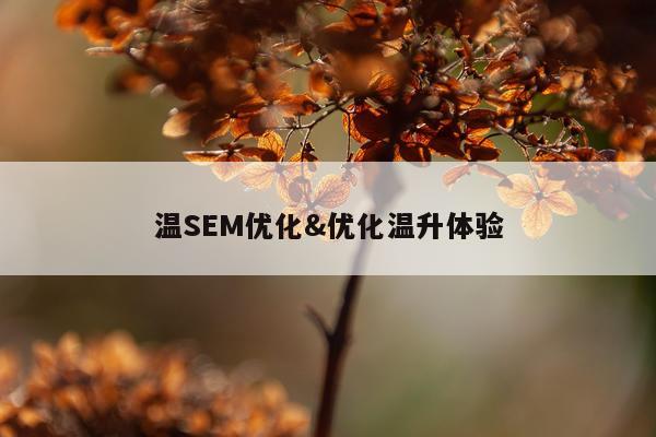 温SEM优化&优化温升体验