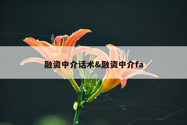 融资中介话术&融资中介fa