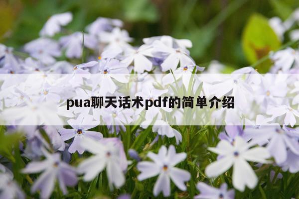 pua聊天话术pdf的简单介绍