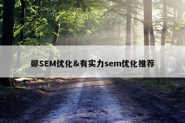 郧SEM优化&有实力sem优化推荐