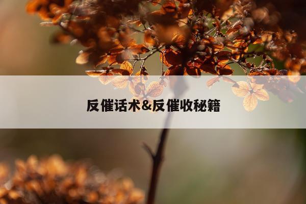 反催话术&反催收秘籍
