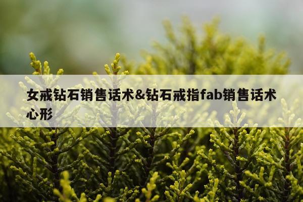 女戒钻石销售话术&钻石戒指fab销售话术心形