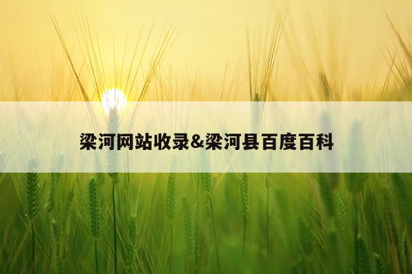 梁河网站收录&梁河县百度百科