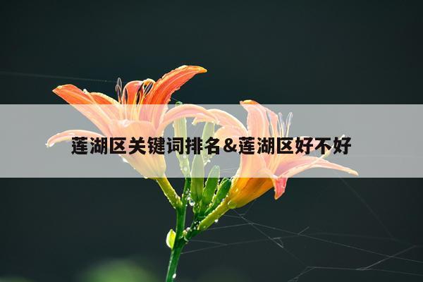 莲湖区关键词排名&莲湖区好不好