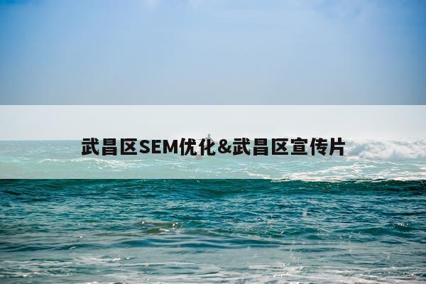 武昌区SEM优化&武昌区宣传片