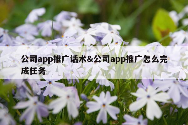 公司app推广话术&公司app推广怎么完成任务