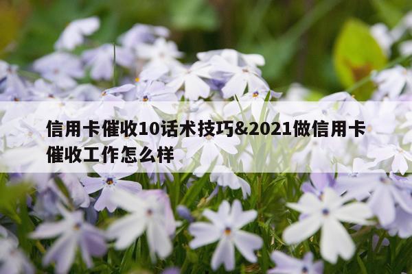 信用卡催收10话术技巧&2021做信用卡催收工作怎么样