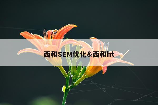西和SEM优化&西和ht