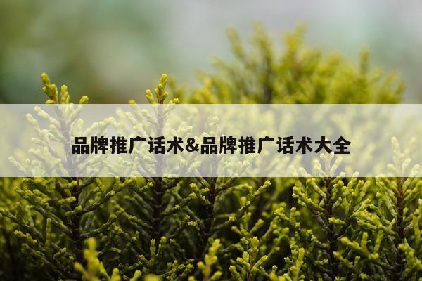 品牌推广话术&品牌推广话术大全