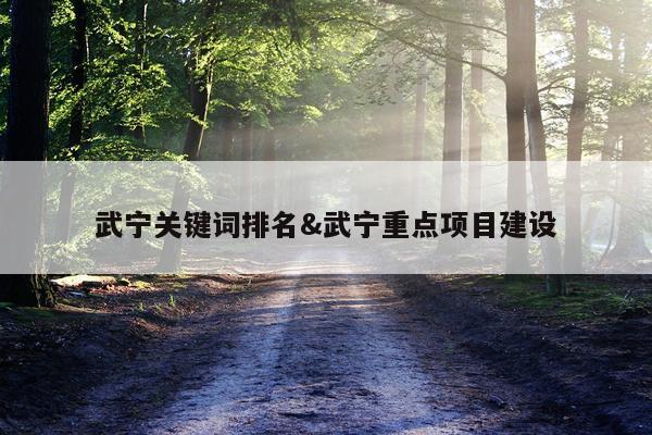 武宁关键词排名&武宁重点项目建设