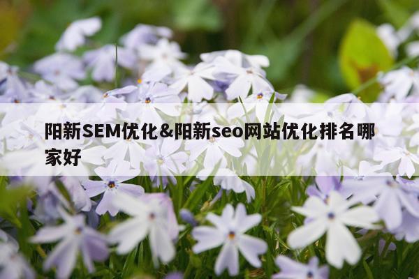 阳新SEM优化&阳新seo网站优化排名哪家好